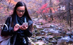 网传秦钢被打死了